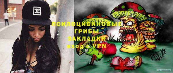 мдпв Сосновый Бор