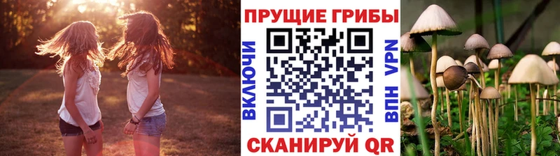 Галлюциногенные грибы Psilocybe  Электроугли 